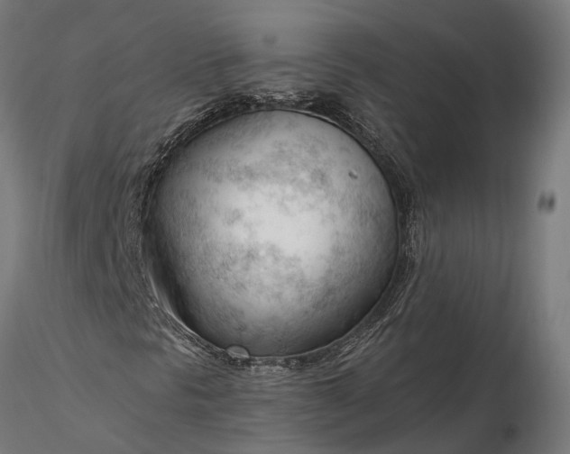 X0000116341297200912151319