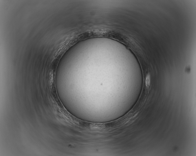 X0000116341299200912151319