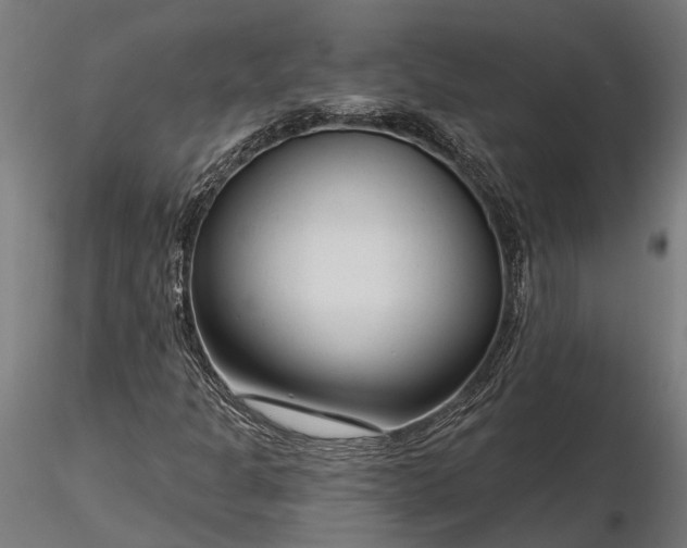 X0000116341301200912151319