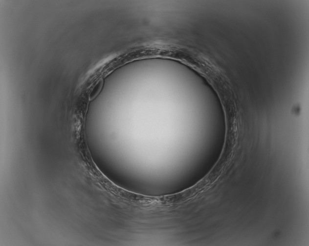 X0000116341302200912151319