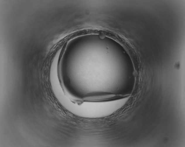 X0000116341303200912151319