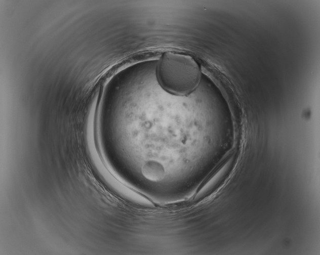 X0000116341305200912151319