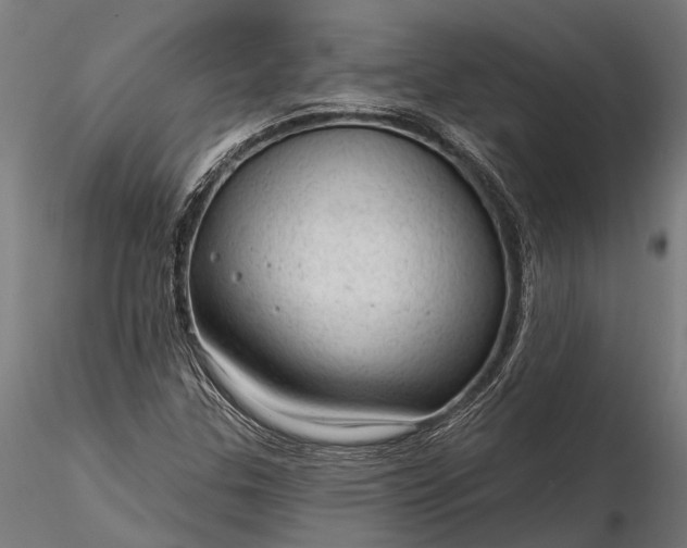 X0000116341307200912151319