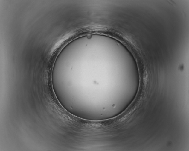 X0000116341309200912151319