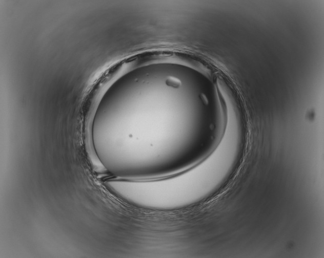 X0000116341310200912151319