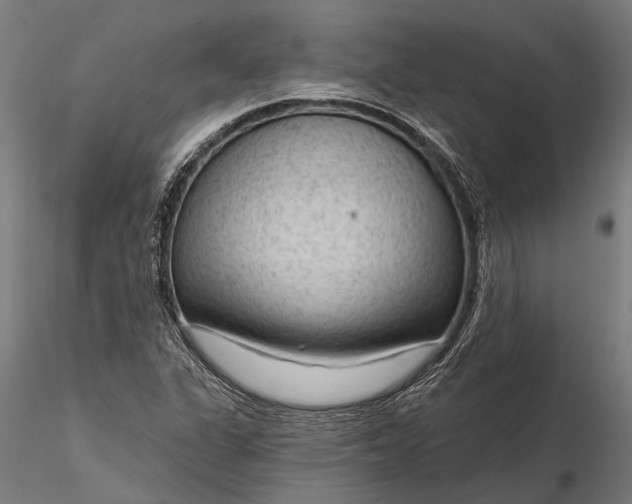 X0000116341311200912151319