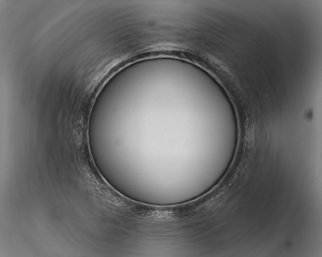 X0000116341313200912151319