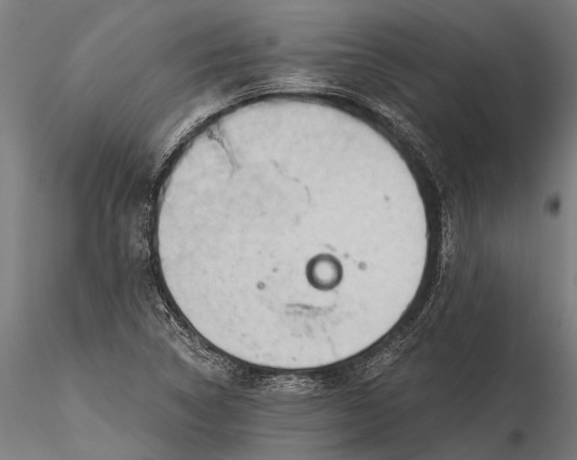 X0000116341314200912151319