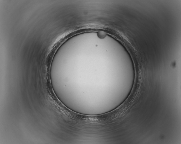 X0000116341315200912151319