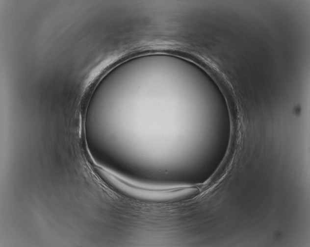 X0000116341317200912151319