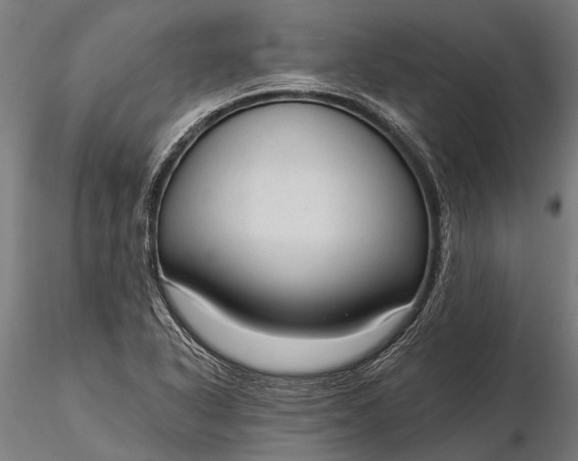 X0000116341318200912151319