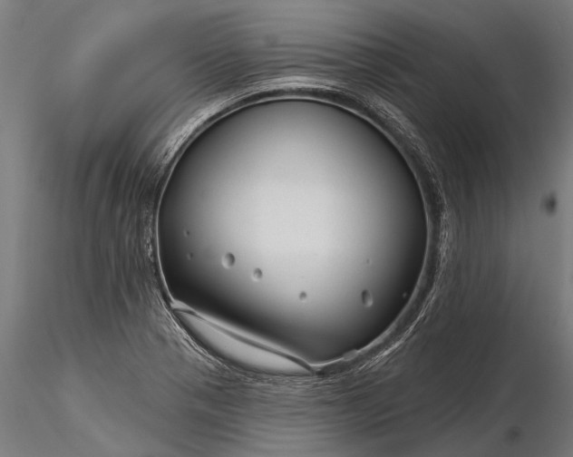 X0000116341321200912151319