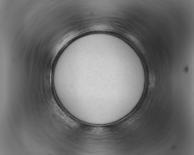 X0000116341322200912151319