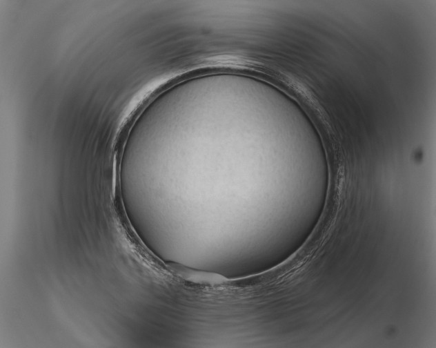 X0000116341323200912151319