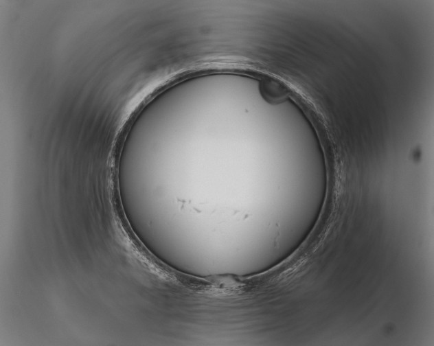 X0000116341325200912151319