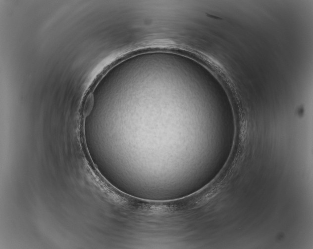 X0000116341326200912151319