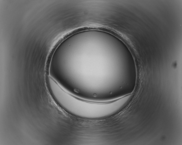 X0000116341327200912151319