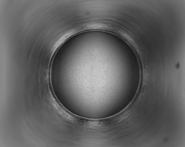 X0000116341330200912151319