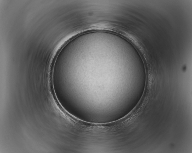 X0000116341331200912151319