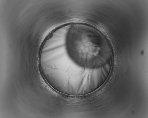 X0000116341334200912151319