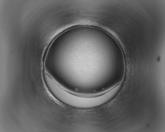 X0000116341335200912151319