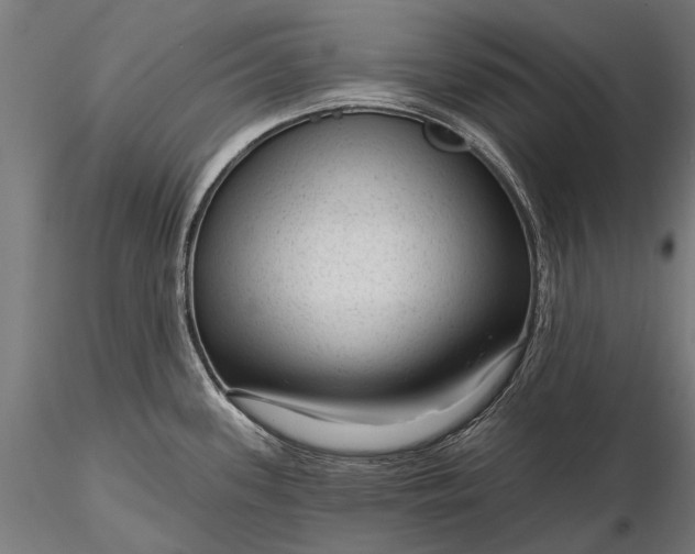 X0000116341339200912151319