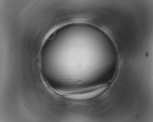 X0000116341342200912151319