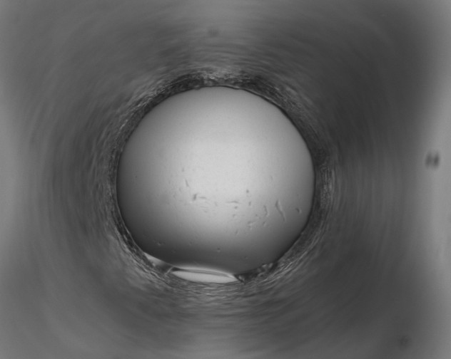 X0000116341345200912151319