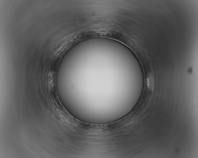 X0000116341347200912151319