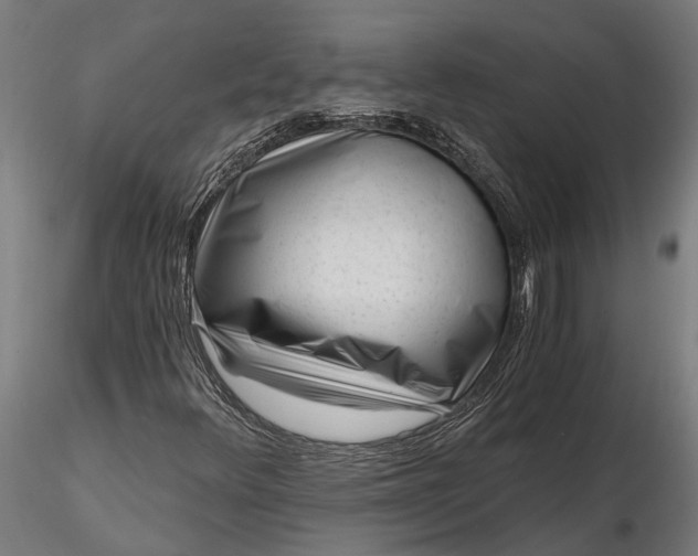 X0000116341348200912151319