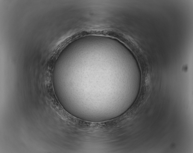 X0000116341350200912151319