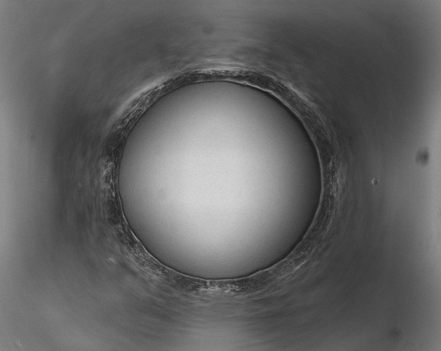 X0000116341351200912151319