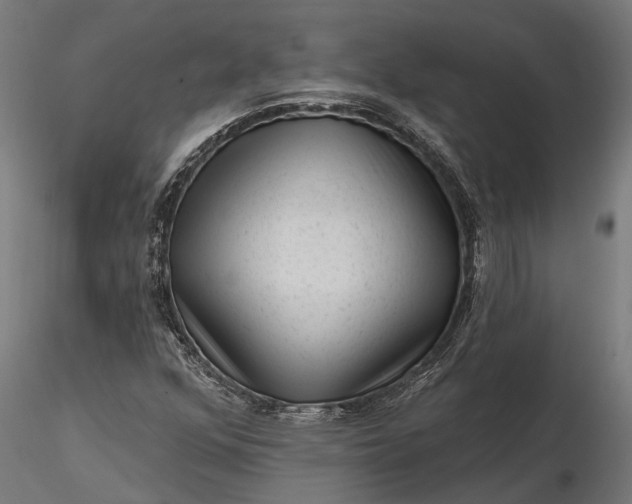 X0000116341352200912151319