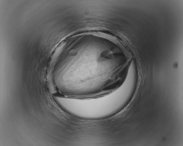 X0000116341353200912151319