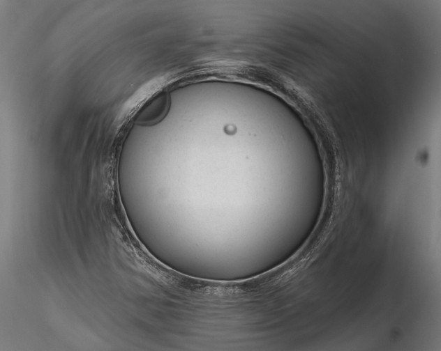 X0000116341354200912151318