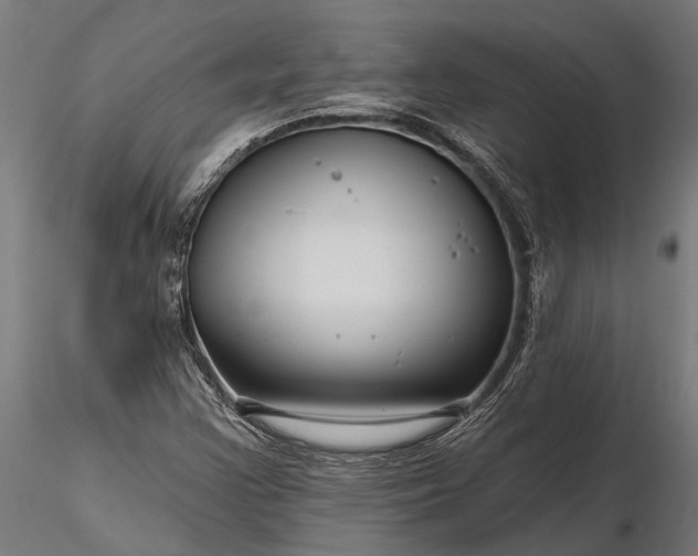 X0000116341355200912151318