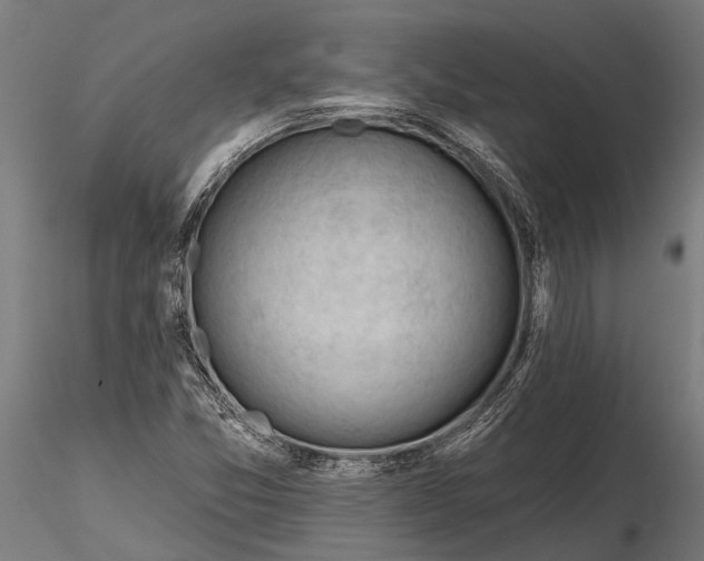 X0000116341357200912151318