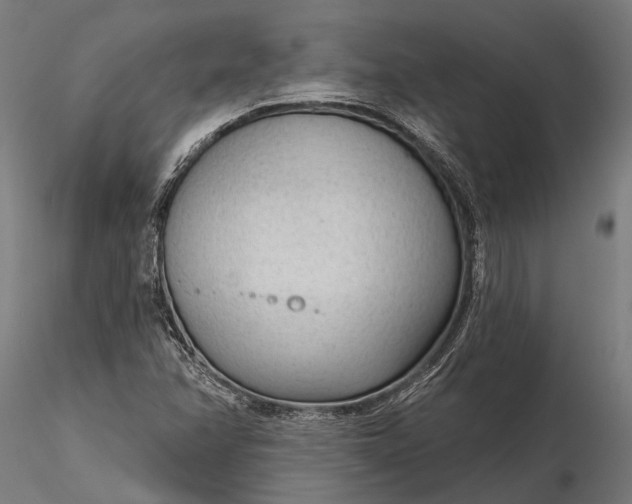 X0000116341358200912151318