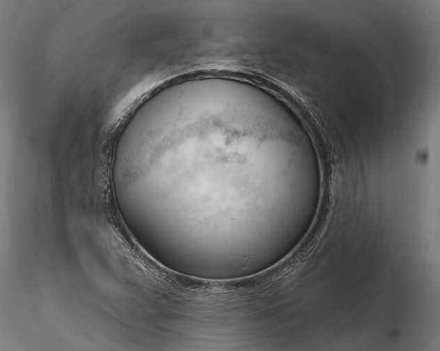 X0000116341359200912151318