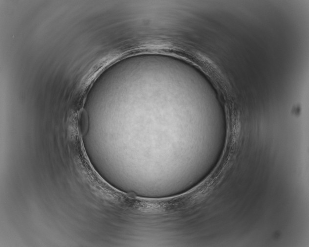 X0000116341361200912151318