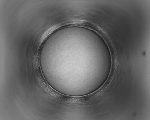 X0000116341362200912151318