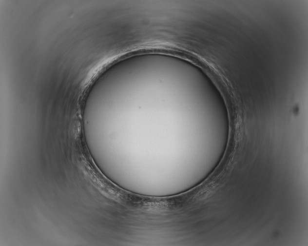 X0000116341363200912151318