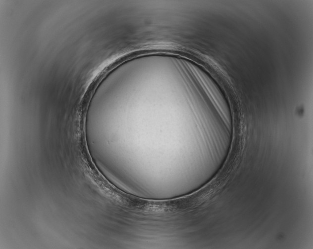 X0000116341364200912151318