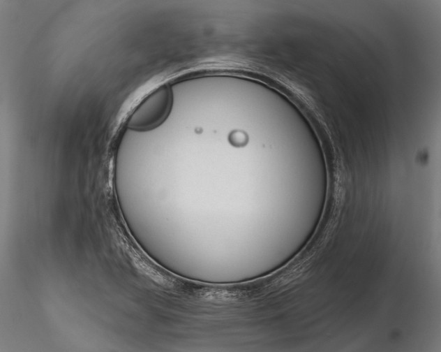 X0000116341366200912151318