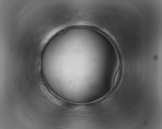 X0000116341367200912151318