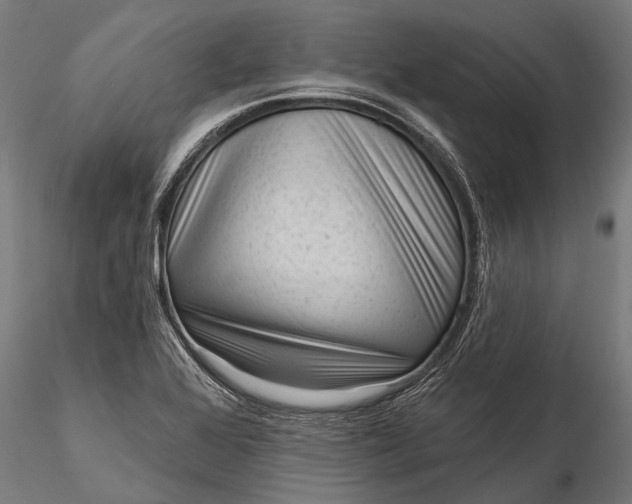 X0000116341368200912151318