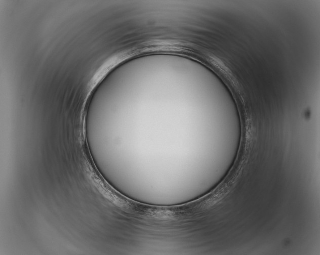 X0000116341370200912151318