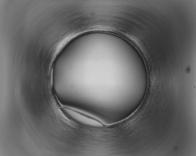 X0000116341371200912151318