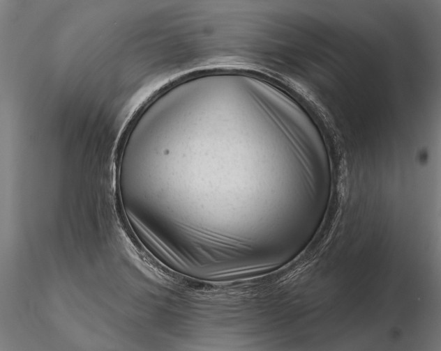 X0000116341372200912151318