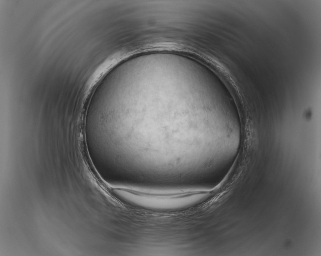 X0000116341373200912151318